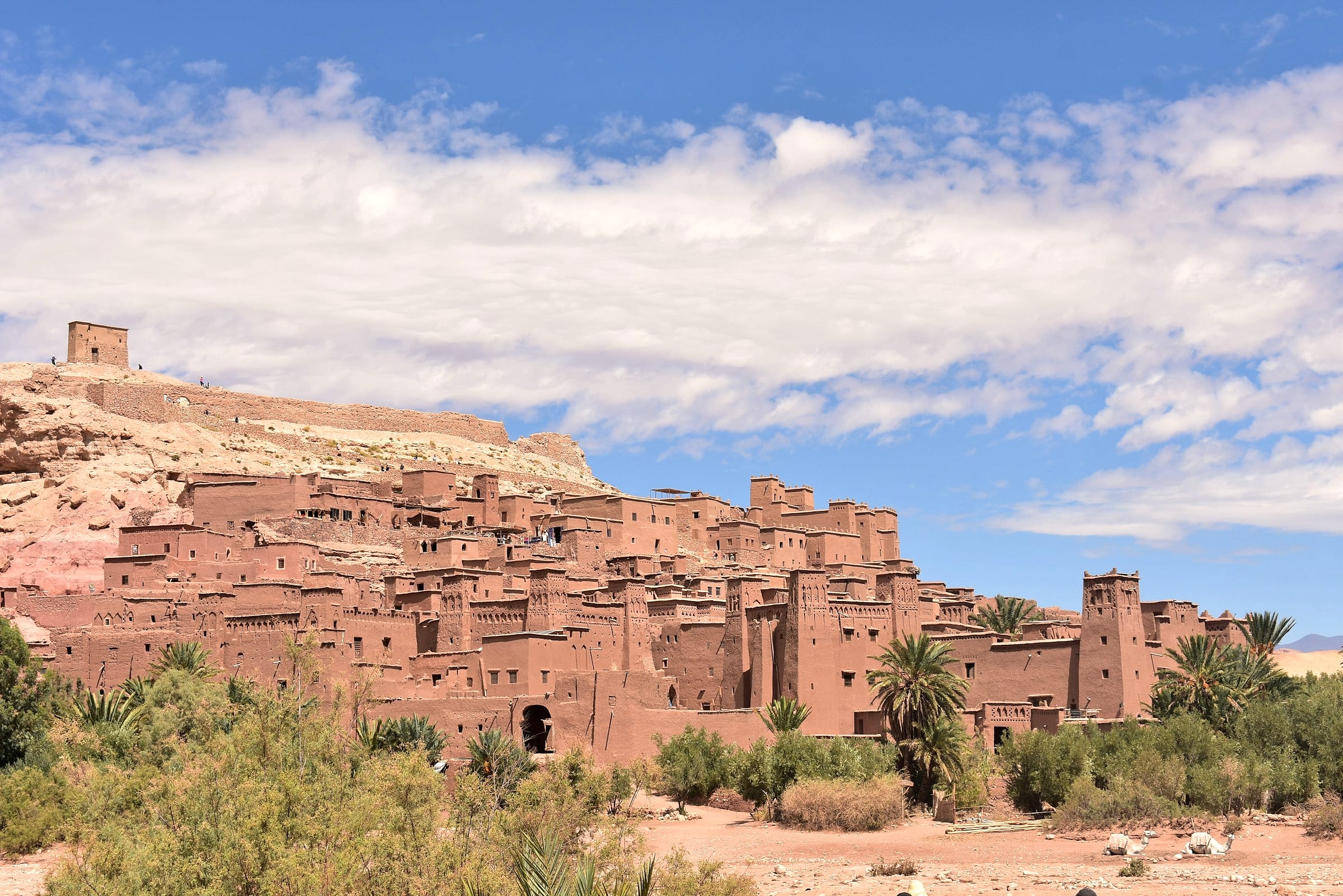 Ksar de terre ocre adossé à la colline, palmeraie en contrebas