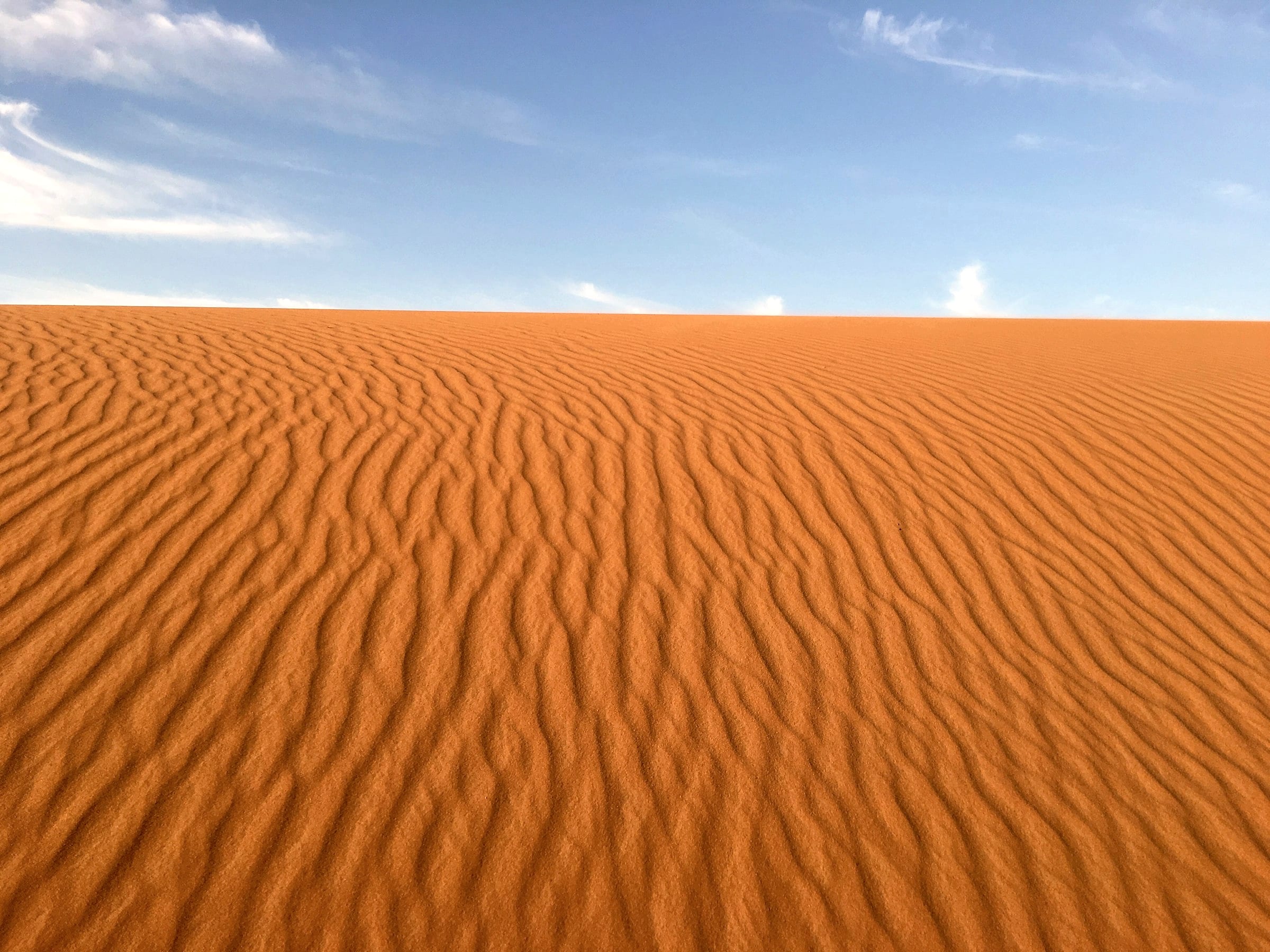 Ondulations de sable à perte de vue dans l'erg
