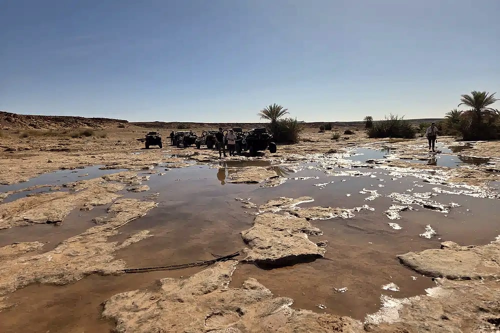 Buggys Can-Am au bord des vasques d'une oasis, palmiers en arrière-plan